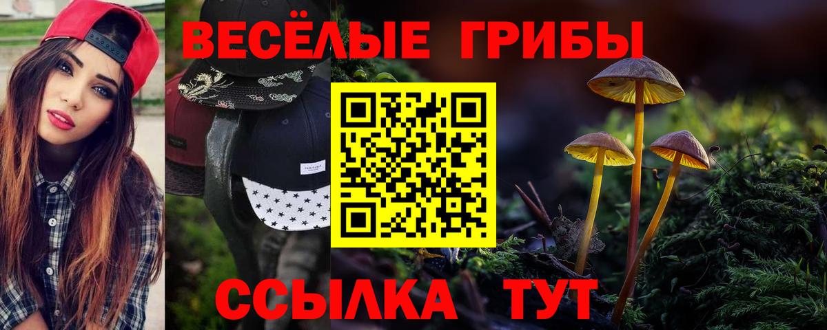 Химки  Галлюциногенные грибы Psilocybe  Вход с VPN 